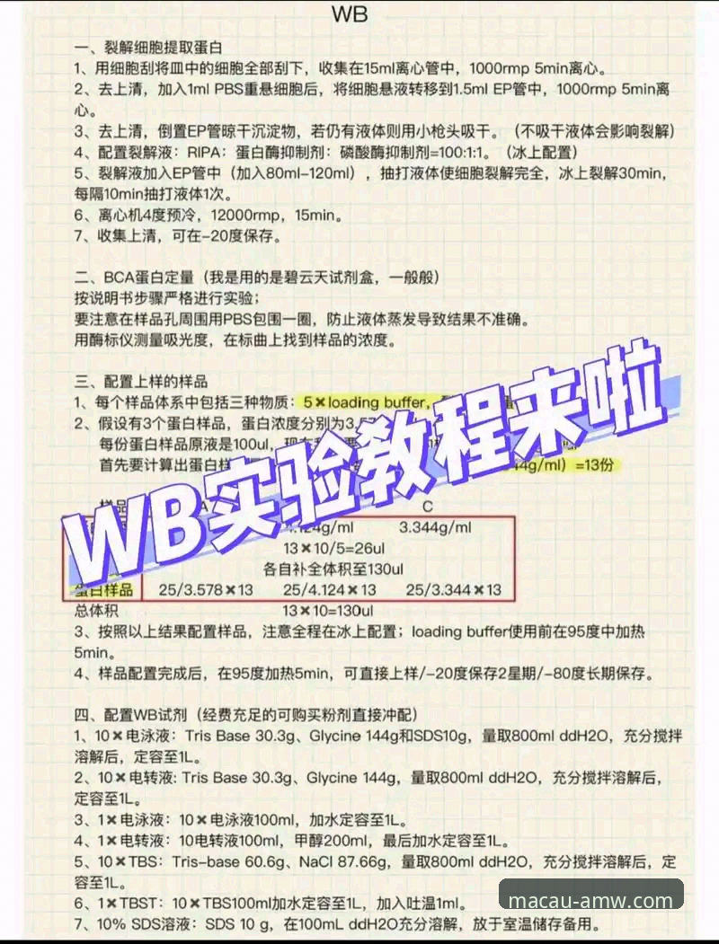 AMW体验如何安装教程 深度揭秘:AMW体验如何安装教程背后的行业逻辑与实操指南